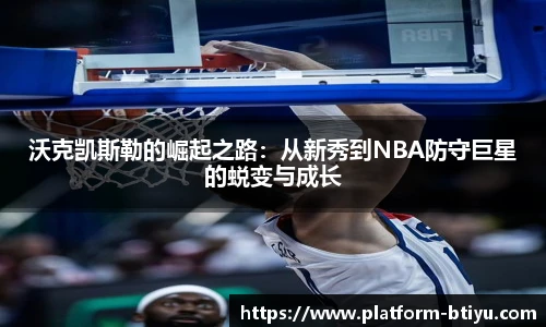 B体育