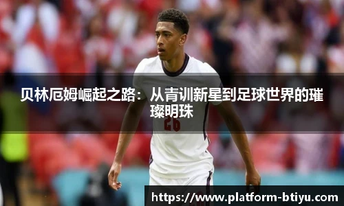 B体育官网